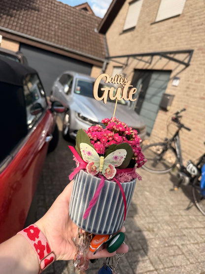 Stecker - Alles Gute